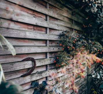 Een gezondere tuin en groen omgeving zonder ongedierten