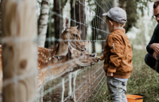 Werken met dieren