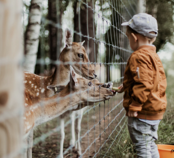 Werken met dieren